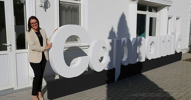 Logo designen Logo designen