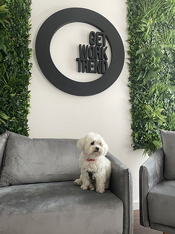 Logo Firma Logo Firma