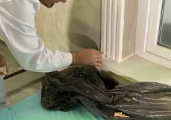 Auch im Stuckmuster sorgfältig arbeiten!