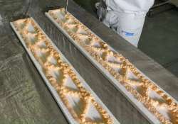 3-5 Minuten Wartezeit bis zum Ankleben der Leisten